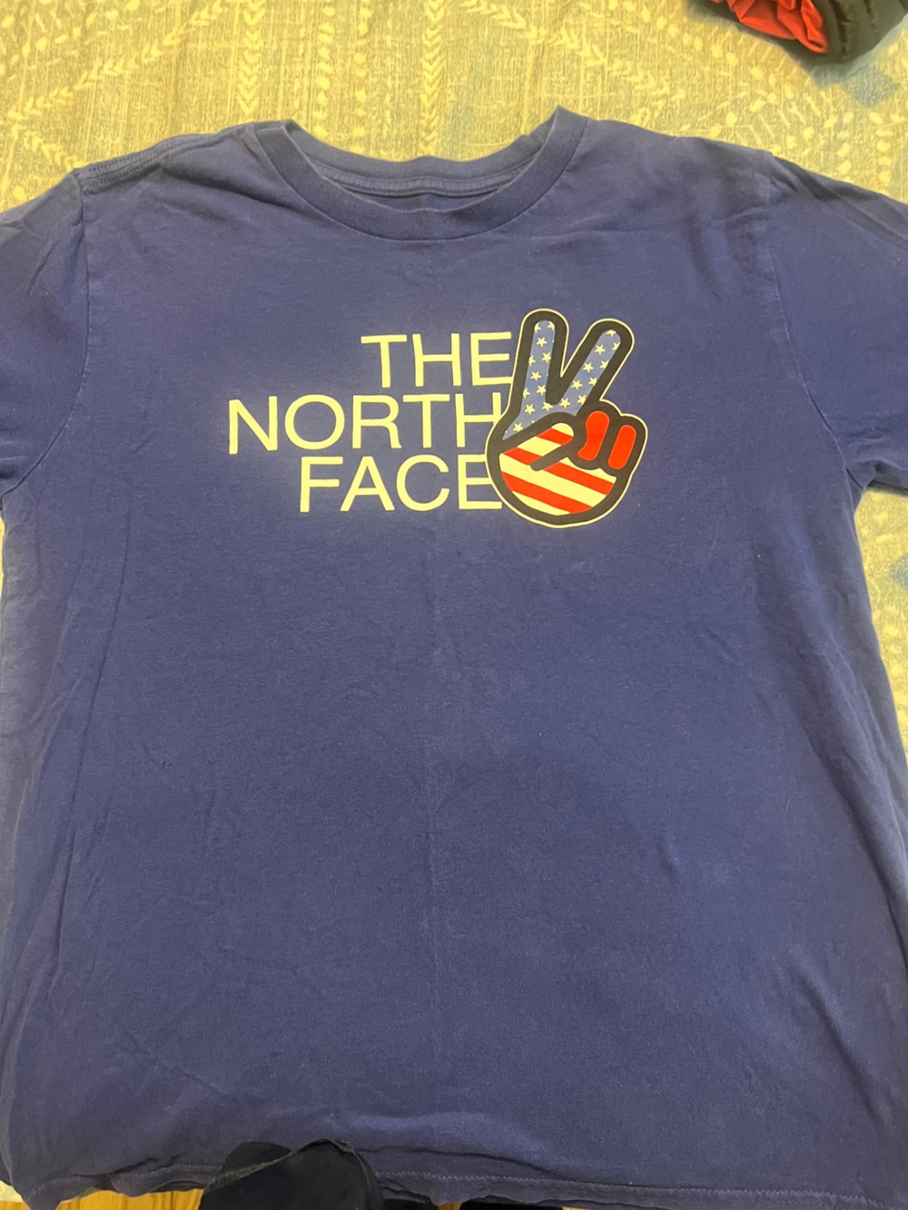 The North Face Royal Blue Tee with White Logo Print